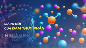 Nguồn gốc của đạm thủy phân – loại đạm dễ tiêu quý hiếm