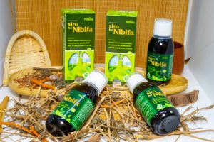 Tỳ bà diệp – vị thuốc quý chữa ho, viêm đường hô hấp của Siro ho Nibifa