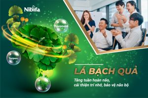 Bạch quả: Dược liệu quý chữa trị bệnh thiểu năng tuần hoàn não