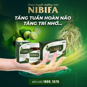 Hoạt huyết dưỡng não Nibifa – Thực phẩm tăng cường trí nhớ cho người hậu Covid 19