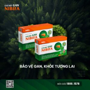 Dịp Tết, uống rượu bia thế nào để ít gây hại nhất cho cơ thể?