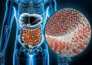 9 LOẠI THỰC PHẨM CÓ LỢI CHO ĐƯỜNG RUỘT